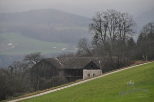DSC 0090