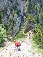 IMG 0899