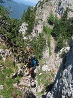 IMG 0903