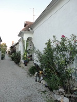 Brennberg 46