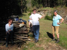 Fr hjahrswanderung 2008 008
