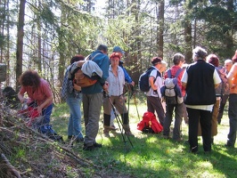 Fr hjahrswanderung 2008 009