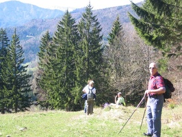 Fr hjahrswanderung 2008 013