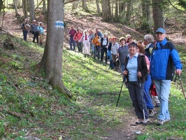Fr hjahrswanderung 2008 017