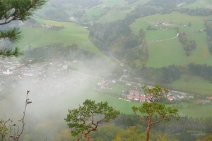 20121007 NF 1150336
