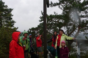 20121007 NF 1150337