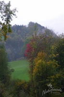 20121007 NF 1150340
