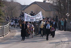 Faschingsumzug2011 009