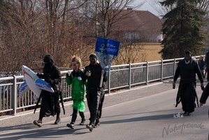 Faschingsumzug2011 020