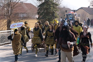 Faschingsumzug2011 022