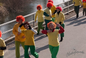 Faschingsumzug2011 030