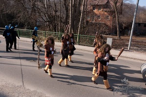 Faschingsumzug2011 039