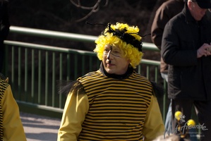 Faschingsumzug2011 044