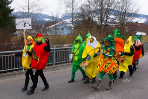 20130209 Faschingsumzug 180
