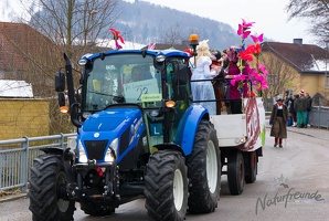 20130209 Faschingsumzug 216