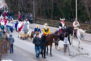 20130209 Faschingsumzug 242