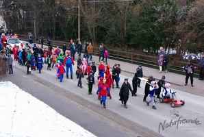 20130209 Faschingsumzug 251