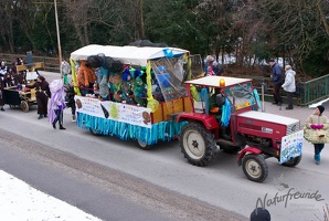 20130209 Faschingsumzug 262