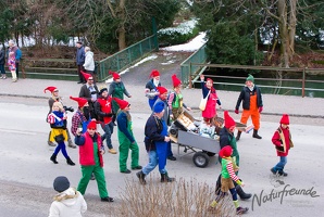 20130209 Faschingsumzug 293