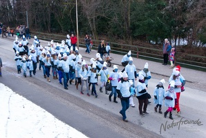 20130209 Faschingsumzug 312