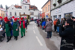 20130209 Faschingsumzug 330