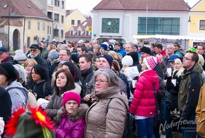 20130209 Faschingsumzug 350