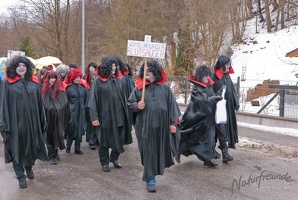 Faschingsumzug 2012 031