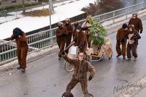 Faschingsumzug 2012 040
