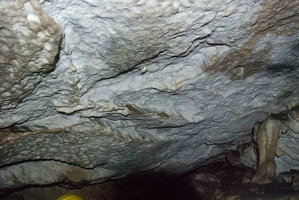 DSC 3772