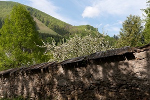 Fotowanderung2011 12