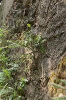 Fotowanderung2011 13