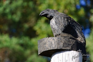 20121020 MBR NF 8376