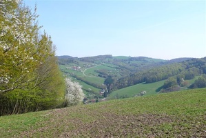 P1100570