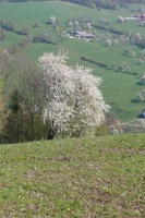 P1100575