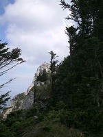 PICT0095
