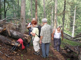 Gr Zellerhut 003