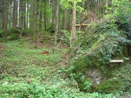 k P5020077