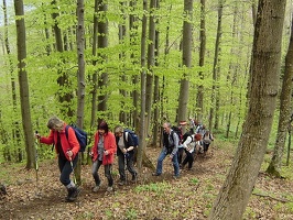 k P5020095
