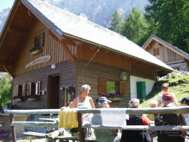 DSCI0089