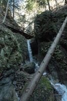 DSC 0004