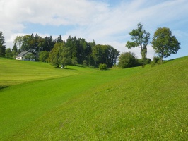 IMGP0939