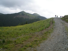 P012