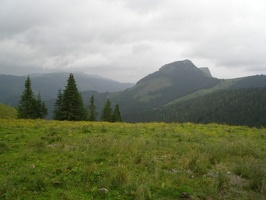 P013