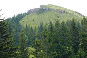 P019