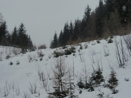 P3060074