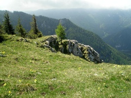 P5170079