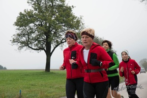 2 Lauf um Willhelmsburg 18