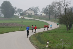 2 Lauf um Willhelmsburg 23