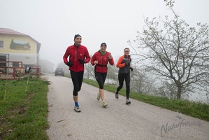 2 Lauf um Willhelmsburg 46