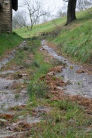 2 Lauf um Willhelmsburg 67